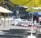 anivers�rio divercol